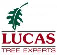 Lucas Trees Logo