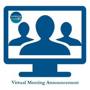 virtual meeting 