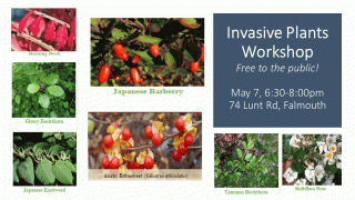 invasives may 7