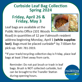 Curbside leaf collection